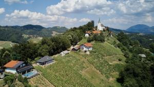 Vineyard Paradise Senica 