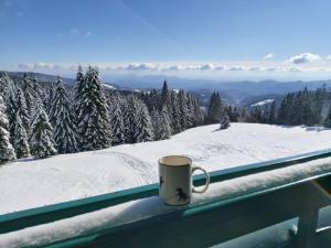 Apartma Bellevue Rogla 