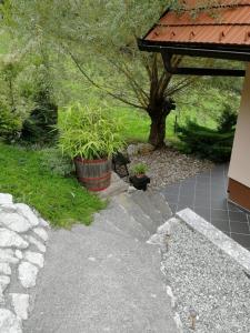 Issy View House 