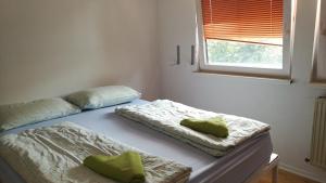 Most Hostel 