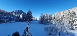 Apartments and Rooms Milena 