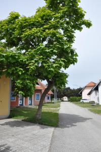 Apartma Julija Hiška 59 