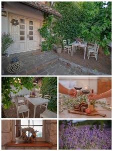 Apartment Ana - Karst Cycling Paradise 