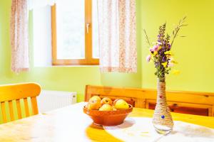 Apartment Vrhivšek 