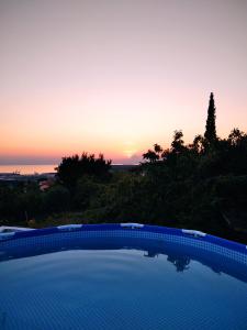 Apartma Nona Roža 
