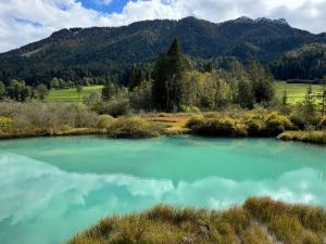 18Home apartments, Mojstrana 