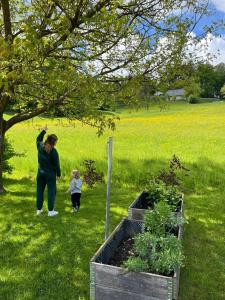 Green Oasis Anica 