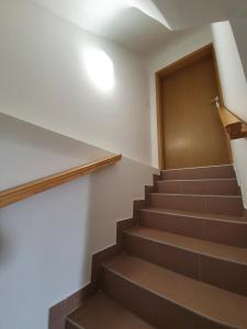 Green Oasis Anica 