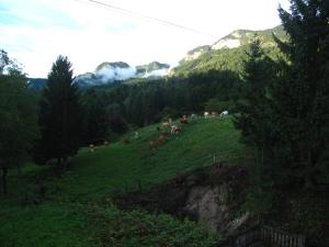 Holiday Home Bela 