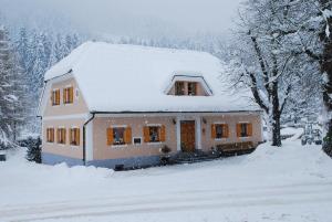 Farm Stay Rotovnik - Plesnik 