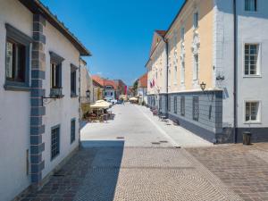 Vila Radolca apartments & rooms 