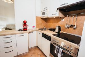 Aparthotel Rosa 404 