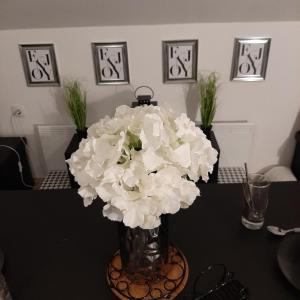 Apartment Luna 