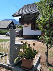 Apartmaji Preželj 