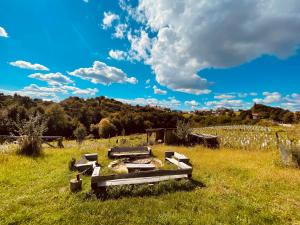 Boutique Glamping Divja DiVine 
