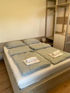 Apartment Nona Polda 