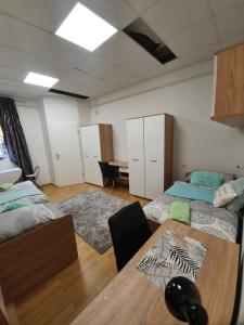 MARIBOR CITY CENTER MINIDORM APARTMENT 