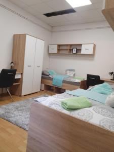 MARIBOR CITY CENTER MINIDORM APARTMENT 