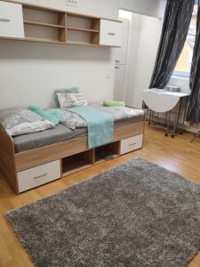 MARIBOR CITY CENTER MINIDORM APARTMENT 