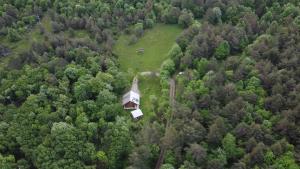 Podklanci-house in the forest 