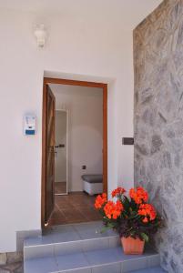 Apartma Ksela 