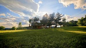 Holiday Home Ernest Železni with hot tub 