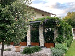 House Wisteria 