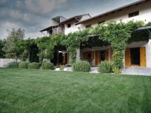 House Wisteria 