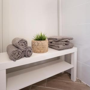 APARTMENT SAPICA 