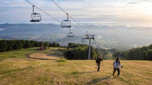 Pohorje Fox duplex apartment 