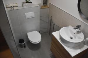 Apartma Darsi 