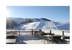 Apartma A1 GOLTE 
