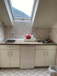 Apartma Regina 