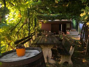 Adorable guesthouse in the middle of vineyards 