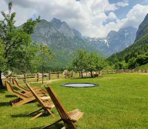 Organic Tourist Farm Pri Plajerju 