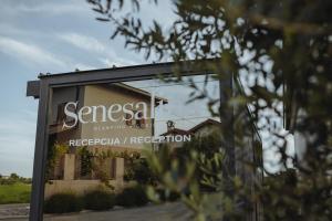 Glamping Senesalina 