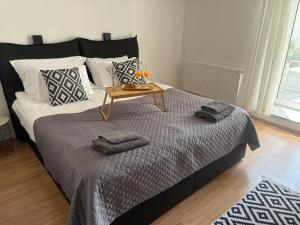 Deluxe Apartments 55 