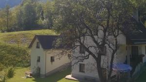Apartment Pretner, Lepena 
