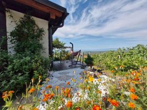 Vineyard Cottage with Private Jacuzzi 