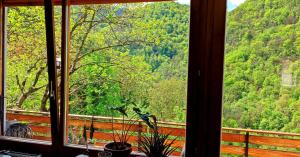 Moksha Slovenia 