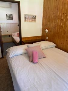 Apartma Anton 