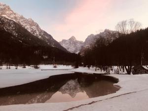 Apartma Anton 