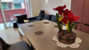 Apartment Ozare 