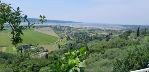 Apartments Milok 