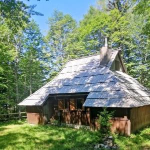 Koča Pastirica - Velika planina 