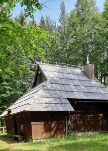 Koča Pastirica - Velika planina 