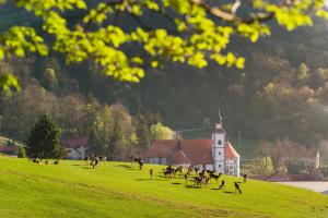Guesthouse Jelenov greben 