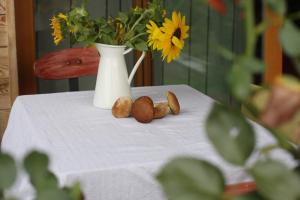 Holiday Home Trnavsko 