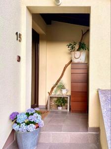 Apartma Kamra15 