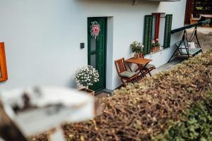 Cozy family place 'Hiša Grozdek' - Gruškovec 40A 